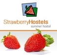 Strawberry Hostels